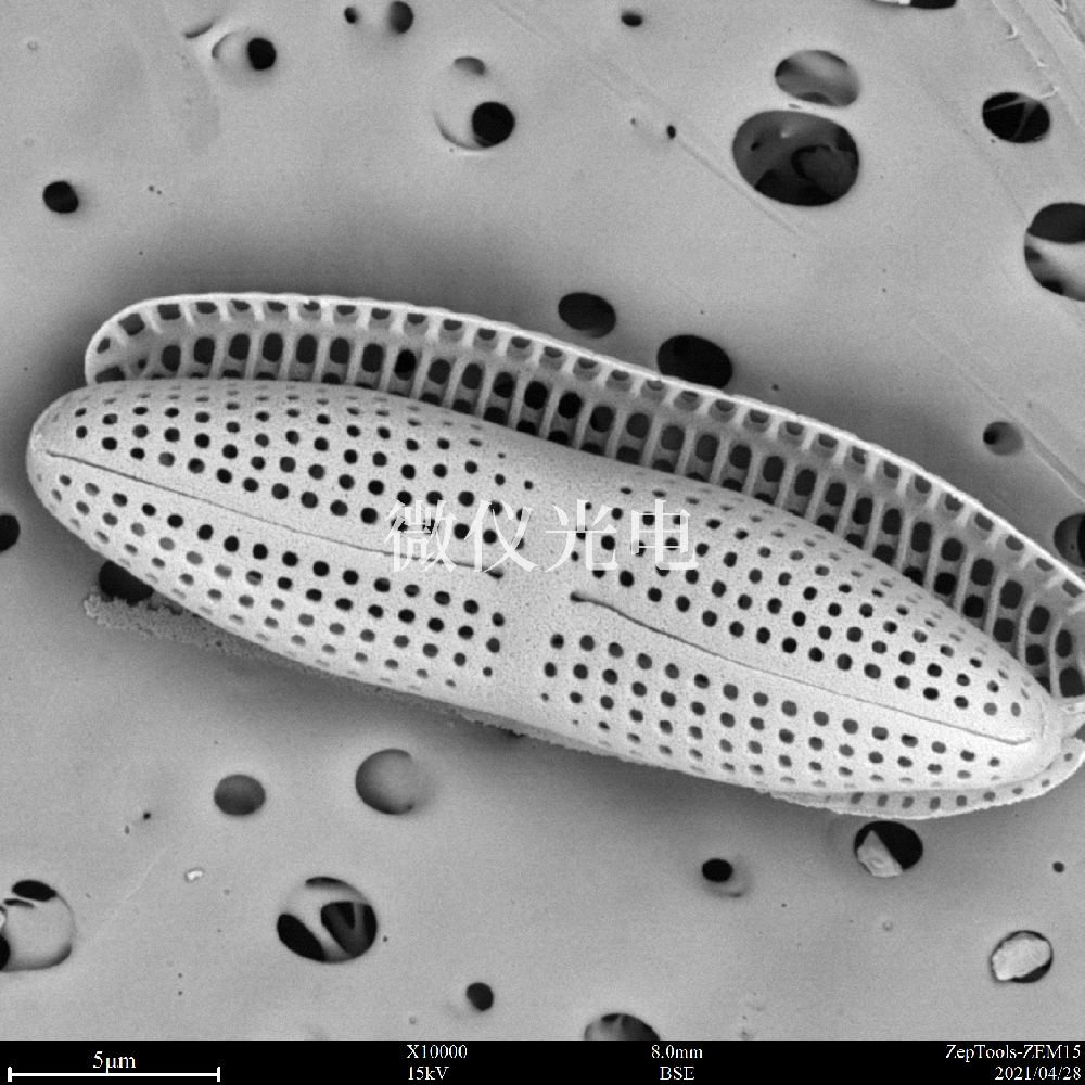 sem臺(tái)式掃描電鏡在司法鑒定行業(yè)的應(yīng)用是這樣的，你之前了解嗎？